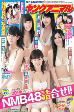 狐妖小红娘月红篇演员表