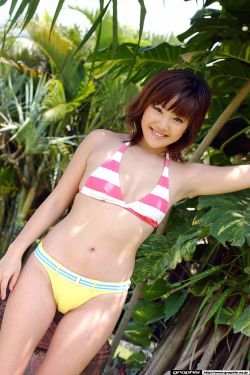 向向向造句三年级简单