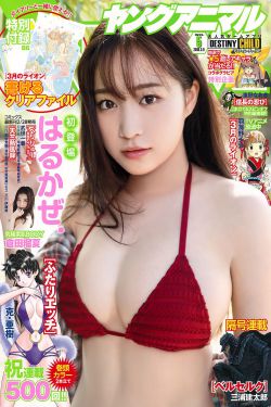 交谊舞曲