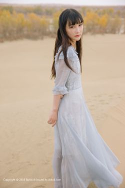 性鸥美