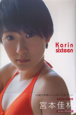勇者无惧电视剧免费观看全集